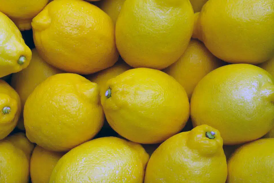 Integratori e nutraceutici dagli scarti del limone
