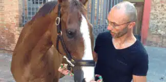 Osteopata palio di siena moreno tortolina