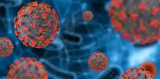 Vaccini a mRna: la memoria cellulare persiste a lungo termine