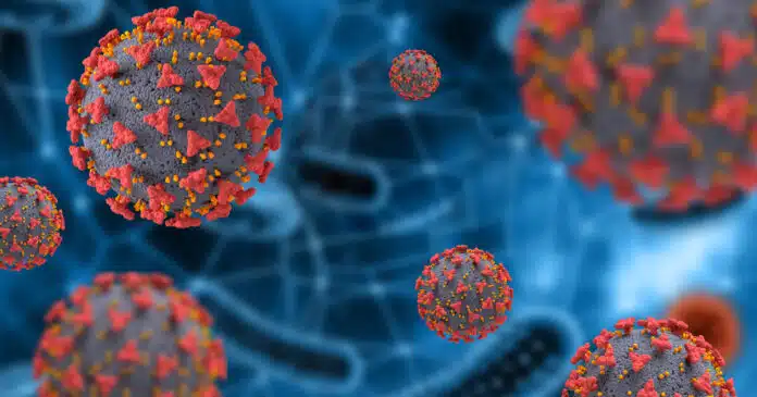 Vaccini a mRna: la memoria cellulare persiste a lungo termine