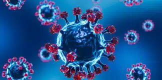 Covid curve epidemiche 2021 e 2021 a confronto