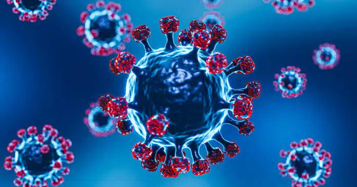 Covid curve epidemiche 2021 e 2021 a confronto