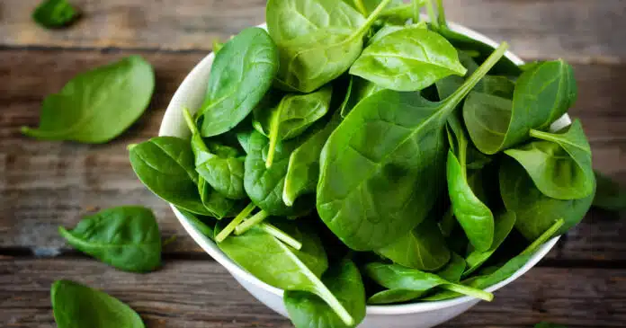 Gli spinaci riducono il rischio di tumore al colon