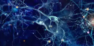 Dopo covid grave, rischio depressione e alterazioni cerebrali