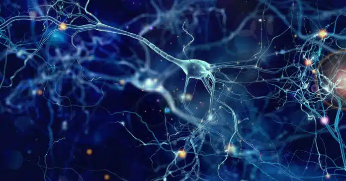 Dopo covid grave, rischio depressione e alterazioni cerebrali