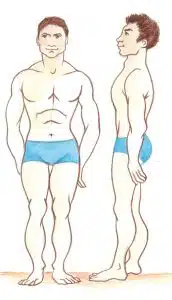 Osteopatia e biotipologie: uno studio del CIO Collegio Italiano di Osteopatia