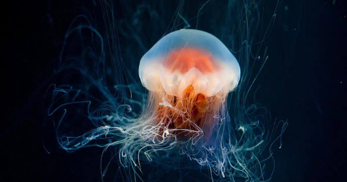 come proteggersi dai rischi dell'estate