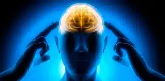 cervello cambio di stagione