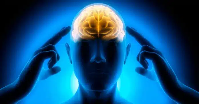 cervello cambio di stagione