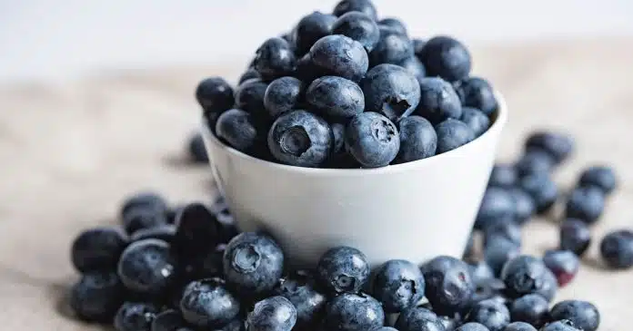 Il Mirtillo nero: pianta dalle straordinarie proprietà benefiche