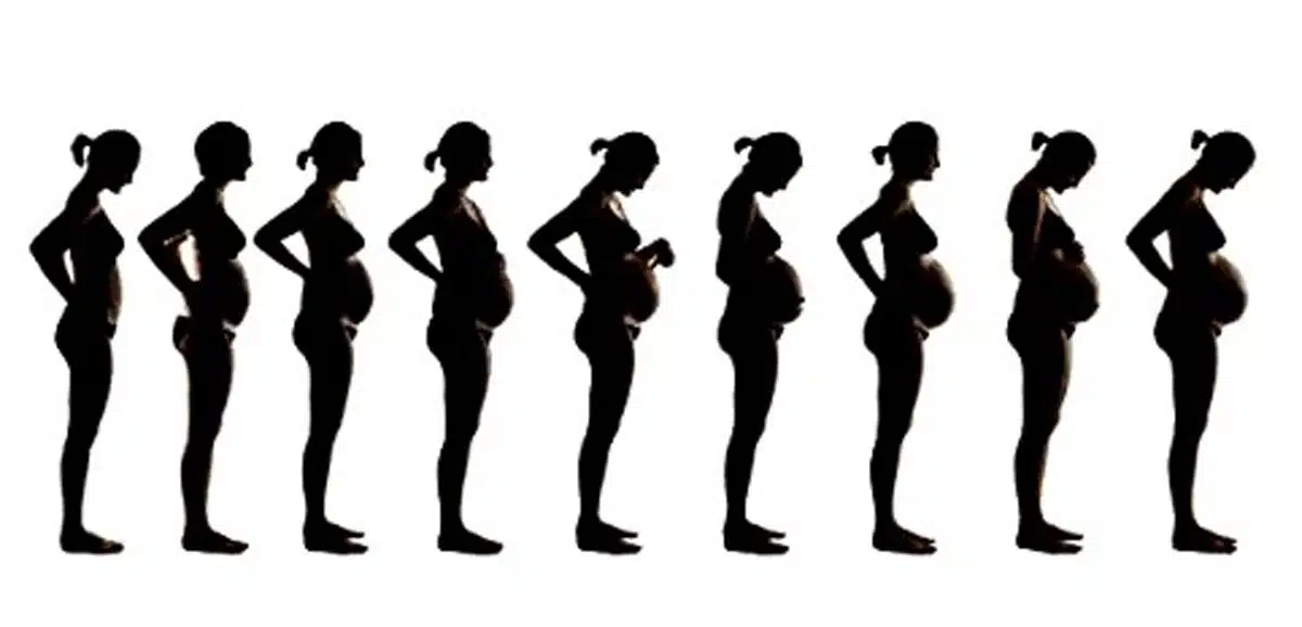 dolore pelvico gestirlo con l'aiuto dell'osteopata