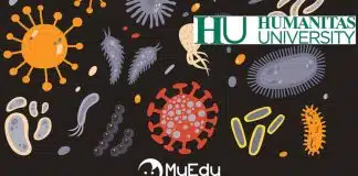 Partnership MyEdu e Humanitas University sui contenuti medico-scientifici digitali per la scuola dell'infanzia