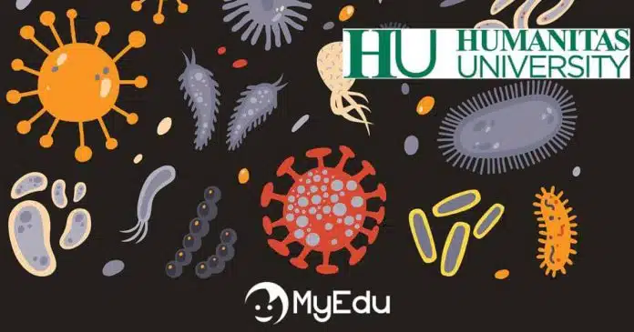 Partnership MyEdu e Humanitas University sui contenuti medico-scientifici digitali per la scuola dell'infanzia