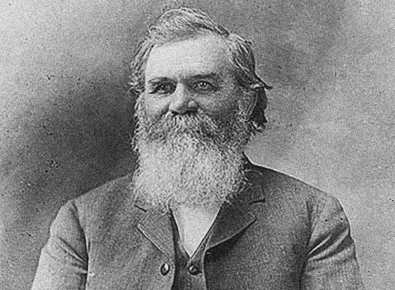 david daniel palmer